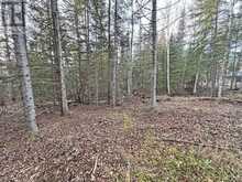 115 GOLF COURSE ROAD | Nipigon Ontario | Slide Image Forty