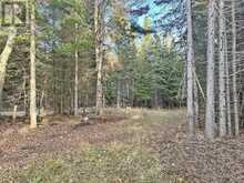 115 GOLF COURSE ROAD | Nipigon Ontario | Slide Image Forty-one