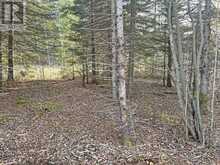 115 GOLF COURSE ROAD | Nipigon Ontario | Slide Image Forty-two