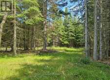 115 GOLF COURSE ROAD | Nipigon Ontario | Slide Image Forty-six
