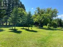 7431 HWY 621 | Lake of the Woods Ontario | Slide Image Nineteen