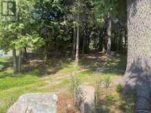 677 OLD STATION ROAD | Rainy River Ontario | Slide Image Thirty-four