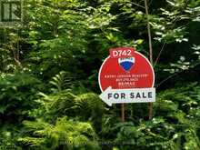 D742 DAM ROAD | Rainy River Ontario | Slide Image Nineteen