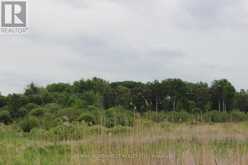 PCL 9872 HWY 619 | Lake of the Woods Ontario | Slide Image Thirteen