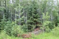 PCL 9872 HWY 619 | Lake of the Woods Ontario | Slide Image Eight
