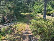 1 RED PINE ISLAND | Rainy River Ontario | Slide Image Thirty-two