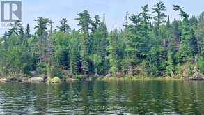 PCL 29243 TRINITY BAY | Kenora Ontario | Slide Image Sixteen