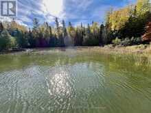 0 EAGLE LAKE | Machin Ontario | Slide Image Twenty