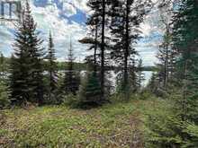PT 1 & 3 SNIB | Kenora Ontario | Slide Image Two
