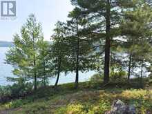 36 HERONRY LAKE ROAD SOUTH | Sioux Narrows-Nestor Falls Ontario | Slide Image Forty-eight