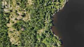 LOT 7 BIG NARROWS ISLAND LAKE OF THE WOODS | Kenora Ontario | Slide Image Eight