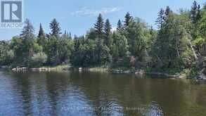 LOT 7 BIG NARROWS ISLAND LAKE OF THE WOODS | Kenora Ontario | Slide Image Six