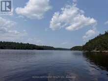 11760A PCL RED GUT | Rainy River Ontario | Slide Image Fifty