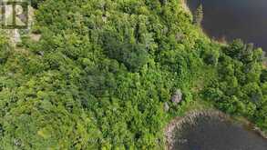 LOT 13 BIG NARROWS ISLAND LAKE OF THE WOODS | Kenora Ontario | Slide Image Sixteen