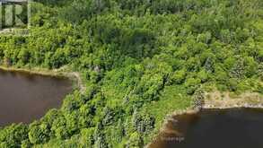 LOT 13 BIG NARROWS ISLAND LAKE OF THE WOODS | Kenora Ontario | Slide Image Nine