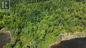 LOT 13 BIG NARROWS ISLAND LAKE OF THE WOODS | Kenora Ontario | Slide Image Ten