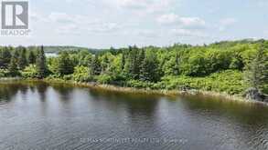 LOT 13 BIG NARROWS ISLAND LAKE OF THE WOODS | Kenora Ontario | Slide Image Fourteen