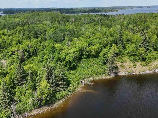 LOT 13 BIG NARROWS ISLAND LAKE OF THE WOODS Kenora Ontario, P0X 1C0 - Waterfront Land For Sale