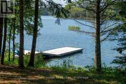 191 FATHER MOSS ROAD | Sioux Narrows-Nestor Falls Ontario | Slide Image Forty-three