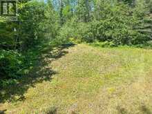 191 FATHER MOSS ROAD | Sioux Narrows-Nestor Falls Ontario | Slide Image Fifty