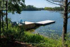 191 FATHER MOSS ROAD | Sioux Narrows-Nestor Falls Ontario | Slide Image Ten
