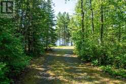 191 FATHER MOSS ROAD | Sioux Narrows-Nestor Falls Ontario | Slide Image Thirteen