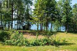 191 FATHER MOSS ROAD | Sioux Narrows-Nestor Falls Ontario | Slide Image Eighteen