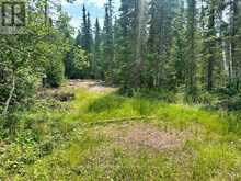 PCL 9169 CAVERN LAKE ROAD | Thunder Bay Ontario | Slide Image Twenty-one