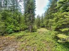 PCL 9169 CAVERN LAKE ROAD | Thunder Bay Ontario | Slide Image Twenty-five