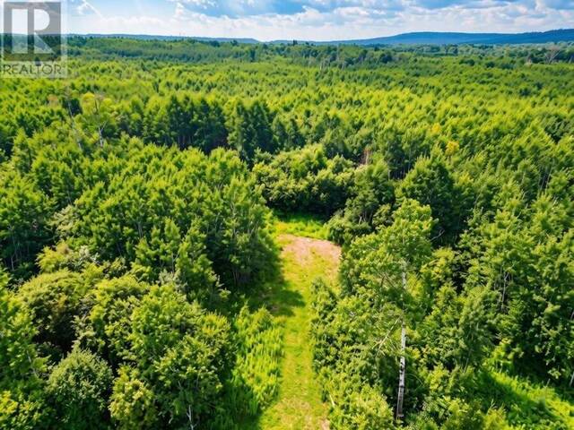 161 Valley RD Thunder Bay Ontario, P0T 1K0 - Vacant Land For Sale