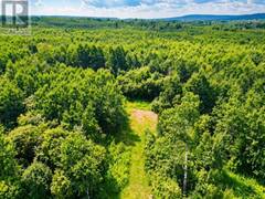 161 Valley RD Thunder Bay Ontario, P0T 1K0