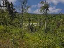 2422 Broadway Ave | Thunder Bay Ontario | Slide Image Forty-seven