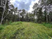 905 FROG CREEK ROAD | Alberton Ontario | Slide Image Nine