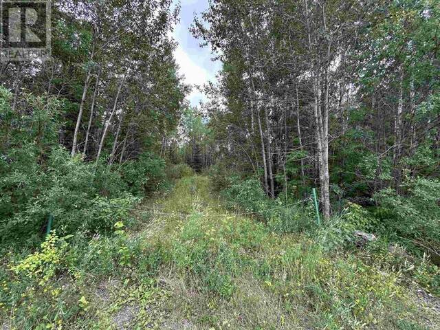 905 Frog Creek RD Alberton Ontario, P9A 3M2 - Vacant Land For Sale