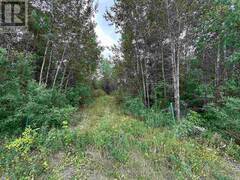 905 FROG CREEK ROAD Alberton Ontario, P9A 3M2