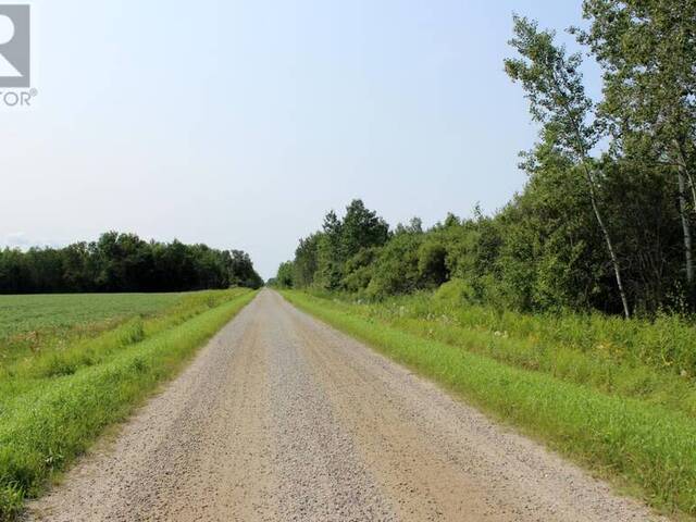 SEC 19 WILSON CREEK RD Rainy River Ontario, P0W 1L0 - Vacant Land For Sale
