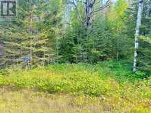 263 CLOUD RIVER ROAD E | Thunder Bay Ontario | Slide Image One