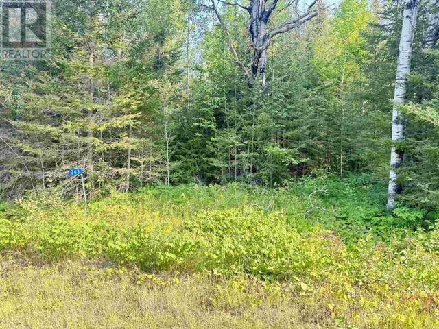 263 CLOUD RIVER RD E Thunder Bay Ontario, P7L 0A9 - Vacant Land For Sale