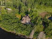 D142 HOLMSTROMS MARSH | Kenora Ontario | Slide Image Thirty-three