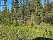 272 Cambridge Street | Thunder Bay Ontario | Slide Image Nine