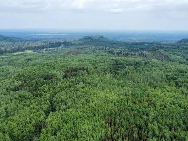 0 Thomas RD Thunder Bay Ontario, P0T 2K0 - Vacant Land For Sale