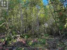 241 CLOUD LAKE ROAD | Thunder Bay Ontario | Slide Image Three