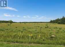 Bergland Cemetery Rd | Rainy River Ontario | Slide Image One