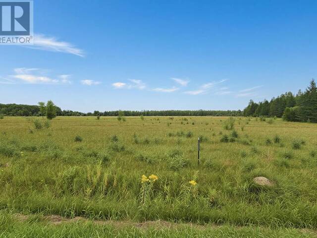 Bergland Cemetery Rd Rainy River Ontario, P0W 1M0 - Waterfront Land For Sale