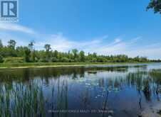 99 KREGER RD | Lake of the Woods Ontario | Slide Image Five