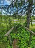 99 KREGER RD | Lake of the Woods Ontario | Slide Image Six