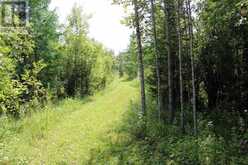 PCL 13496 BLUE RD 2 | Rainy River Ontario | Slide Image Twenty-three