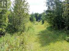 PCL 13496 BLUE RD 2 | Rainy River Ontario | Slide Image Twenty-four