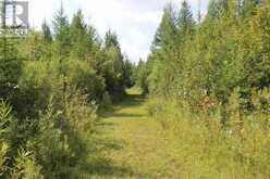 PCL 13496 BLUE RD 2 | Rainy River Ontario | Slide Image Thirty