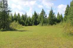 PCL 13496 BLUE RD 2 | Rainy River Ontario | Slide Image Thirty-one